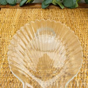 assiette coquillage transparente